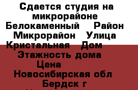 Сдается студия на микрорайоне “Белокаменный“ › Район ­ Микрорайон › Улица ­ Кристальная › Дом ­ 15/2 › Этажность дома ­ 3 › Цена ­ 8 000 - Новосибирская обл., Бердск г. Недвижимость » Квартиры аренда   . Новосибирская обл.,Бердск г.